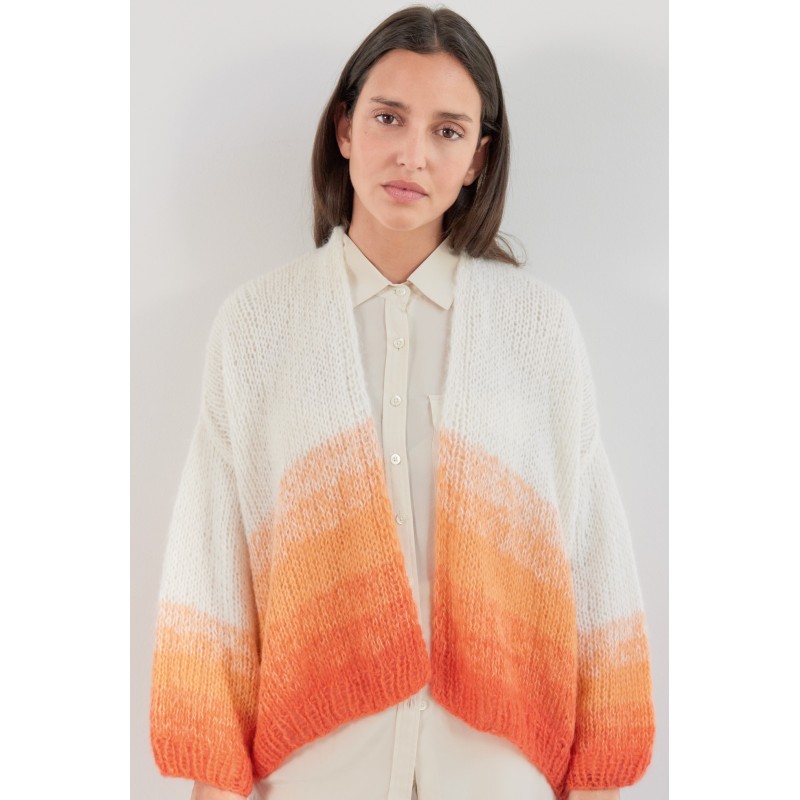 Vest - Setasuri - Journal 66 (model 48)