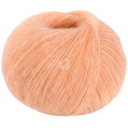 003 Apricot