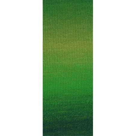 Lana Grossa Gomitolo Versione 447