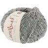 Lana Grossa Country Tweed 004