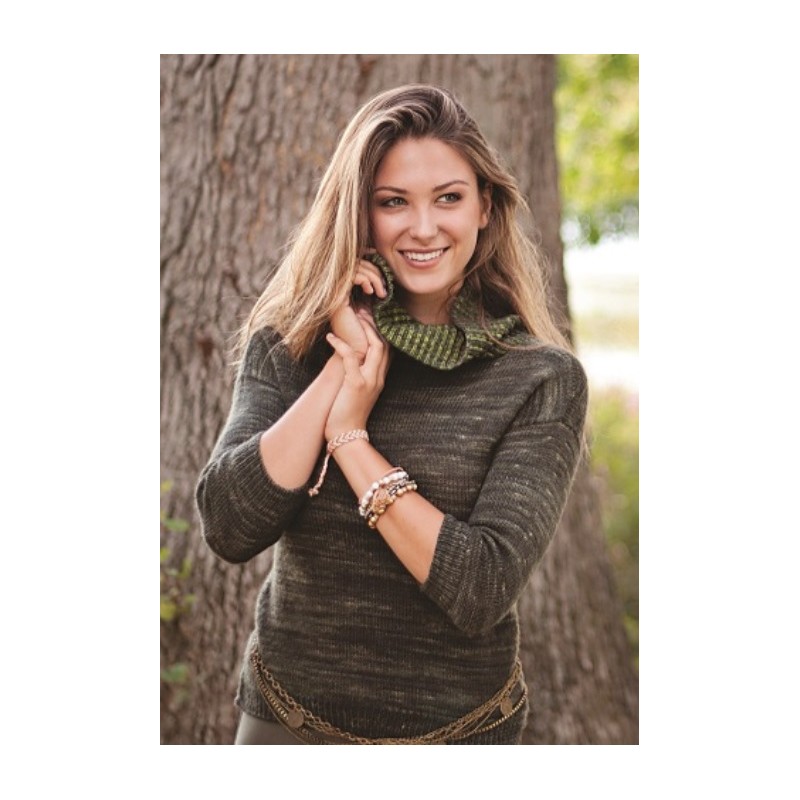 Trui - Malabrigo Ultimate Sock - Follaje