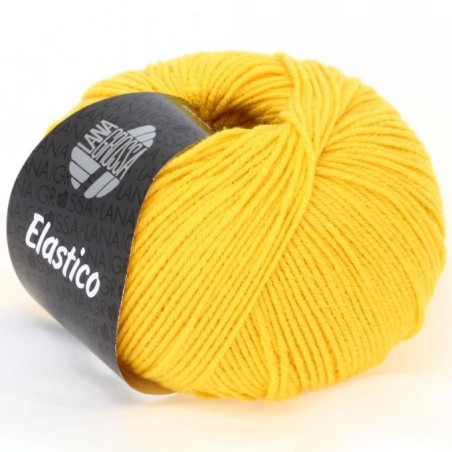 Lana Grossa Elastico 107