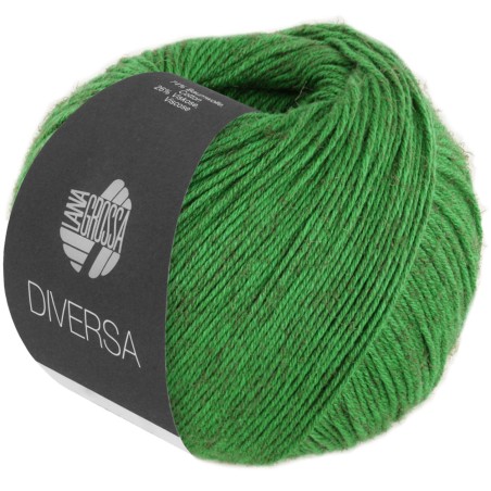 Lana Grossa Diversa 019
