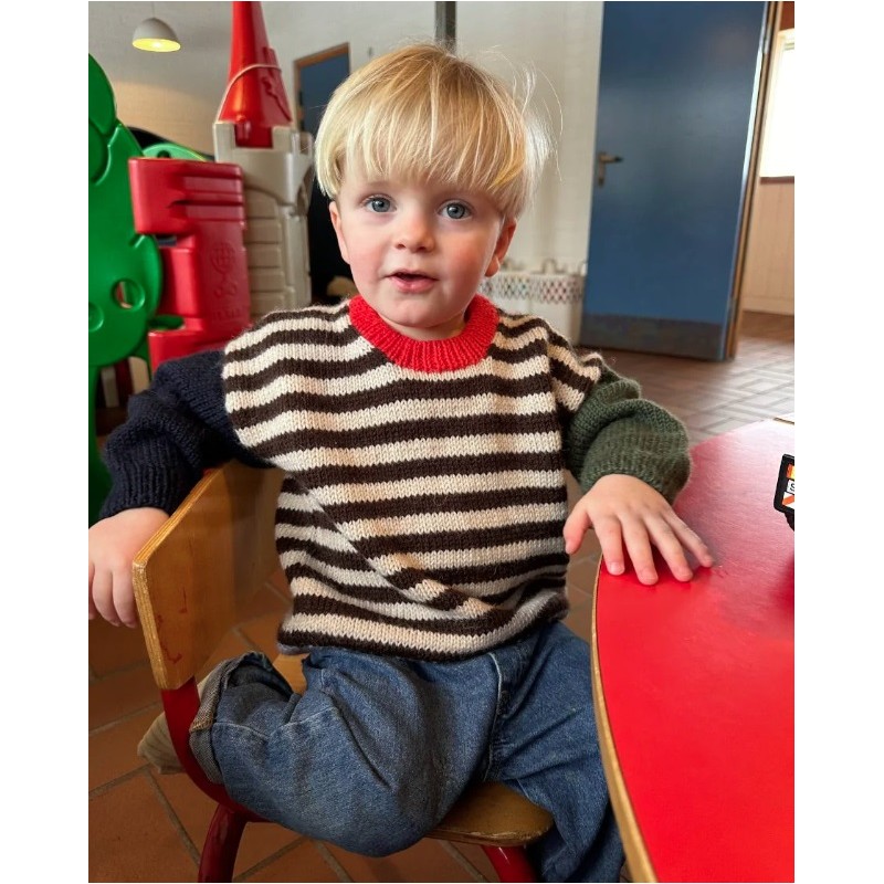 Patroon PetiteKnit Holger Sweater