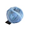 Schoppel Wolle Zauberball Crazy 2438 Indigo