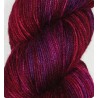 KnitPro Symfonie Terra 2009 Valentine