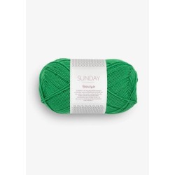 8236 statement green