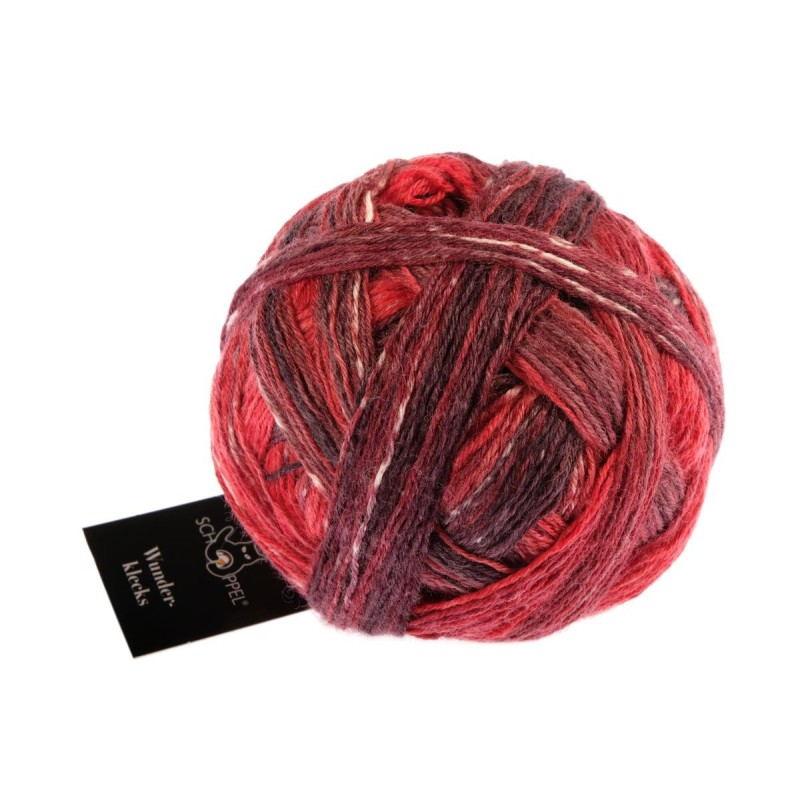 Schoppel Wolle Wunderklecks 2430 Zen Temple