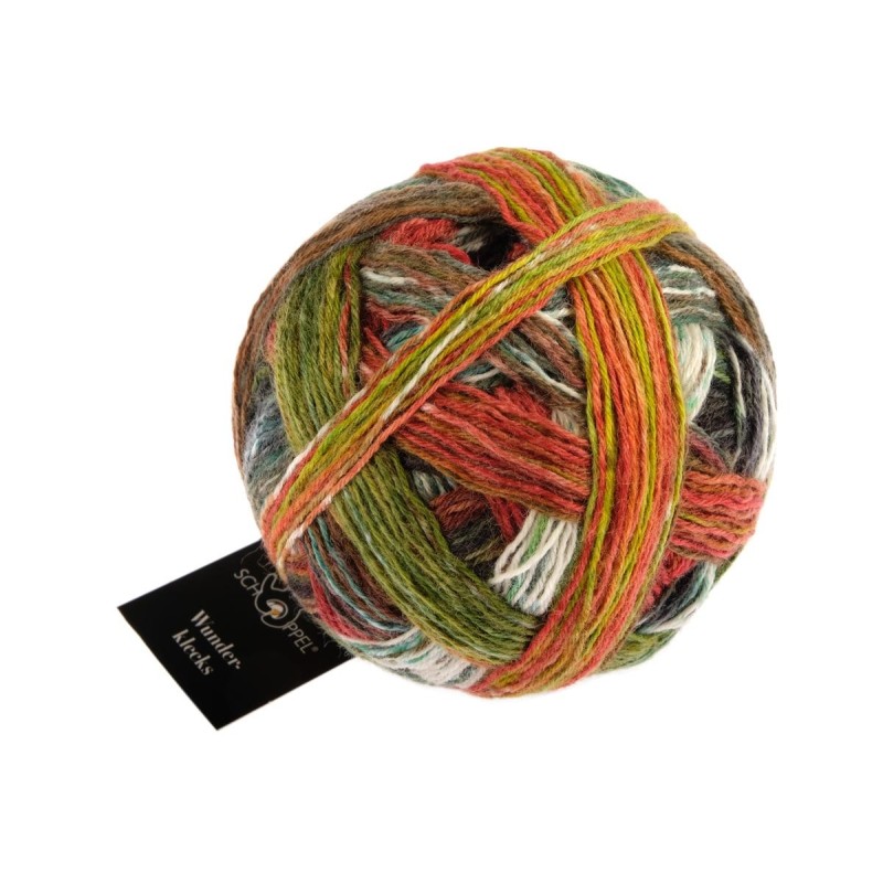Schoppel Wolle Wunderklecks 2433