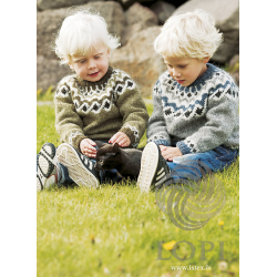 Compleet breipakket - Truitje - Lettlopi - Lopidesign - Kambur