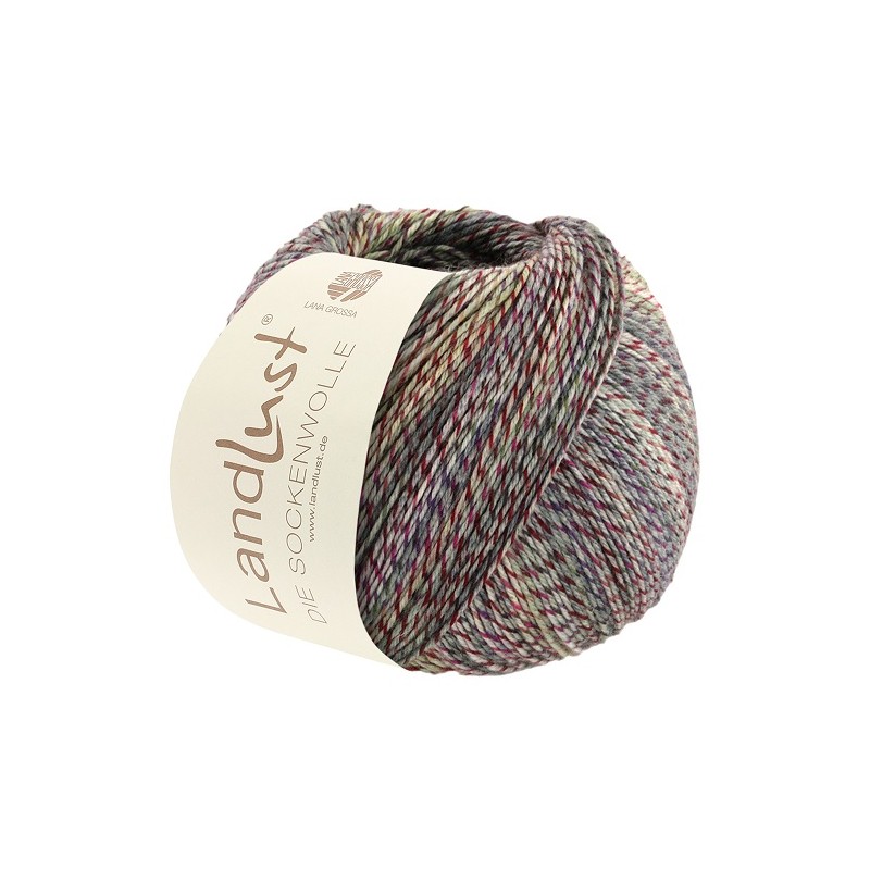 Lana Grossa Landlust die Sockenwolle 214