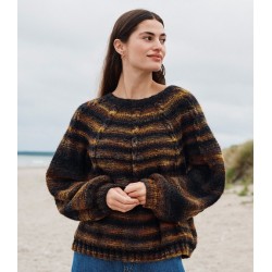 Compleet breipakket - Trui - Picasso - Journal 68 (model 66)