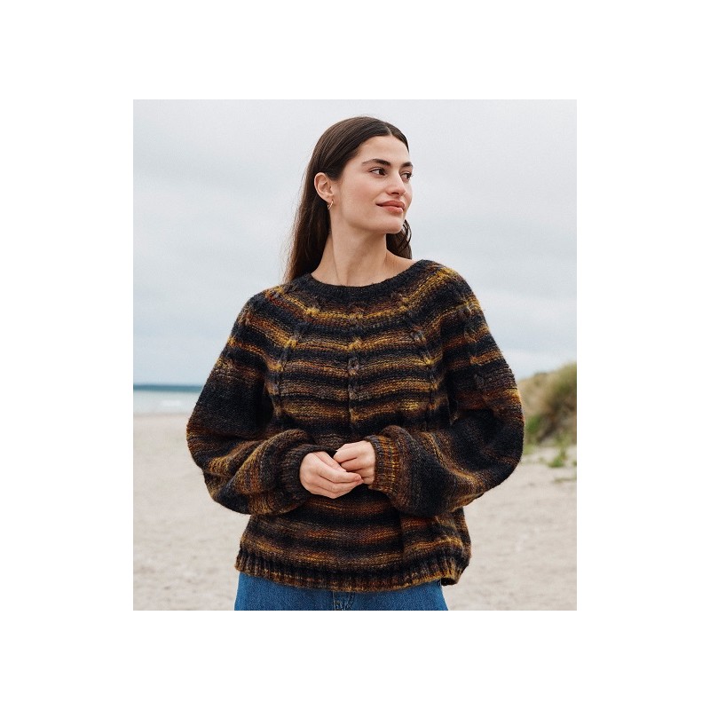 Trui - Picasso - Journal 68 (model 66)