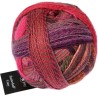 Schoppel Wolle Zauberball Crazy 2631 Italian sunset