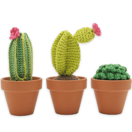 Hardicraft Haakpakket Cactussen