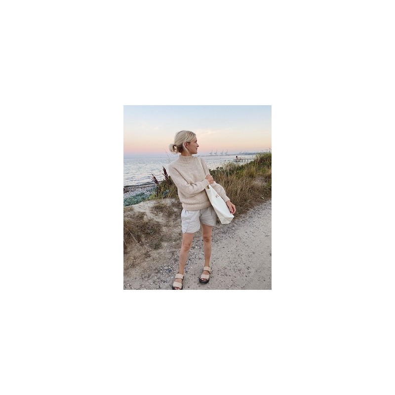 Trui - Brigitte No. 2 - Novice Sweater - PetiteKnit