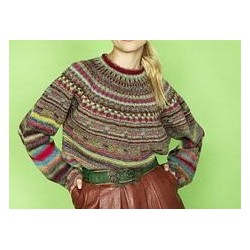 Trui - Zauberball Crazy - Knit the Cat 12 (model 20) Duitstalig