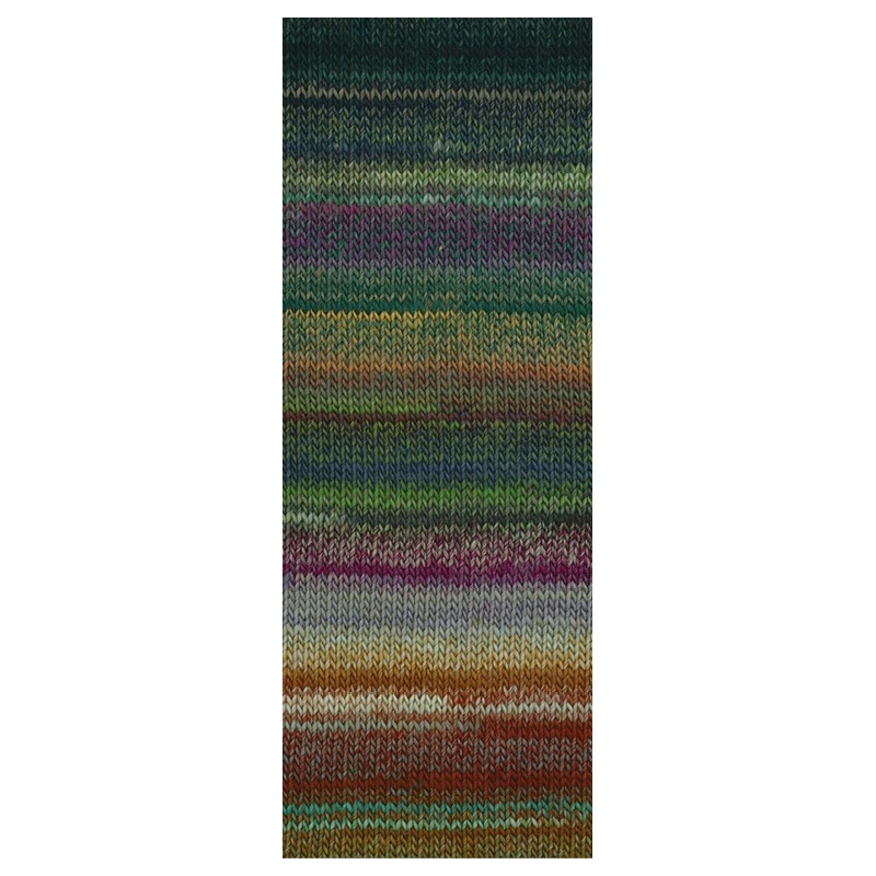 Lana Grossa Colorissimo 216