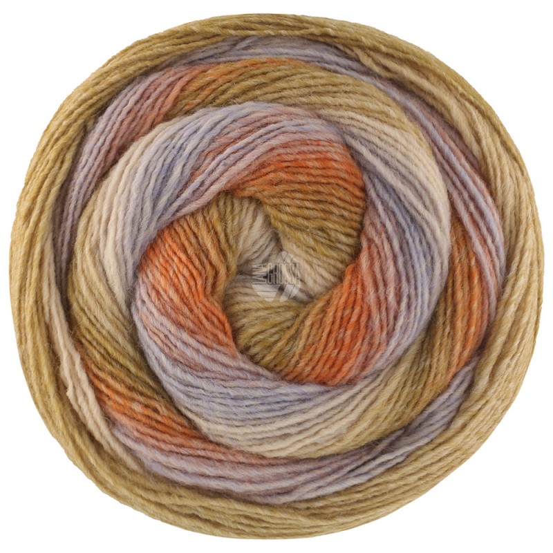 Lana Grossa Gomitolo Versione 458