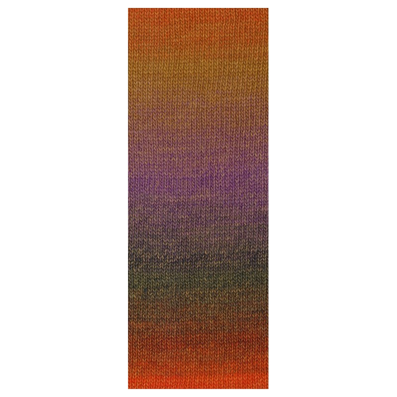 Lana Grossa Gomitolo Versione 453