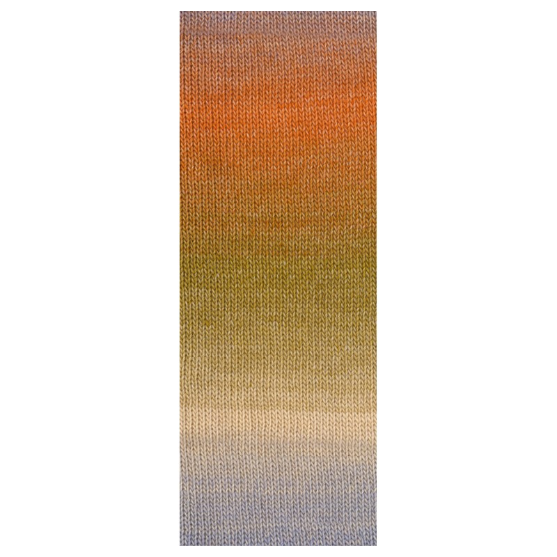 Lana Grossa Gomitolo Versione 458