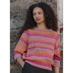 Compleet Breipakket - Trui - Gomitolo Gala - Gomitolo 16 (model 33)