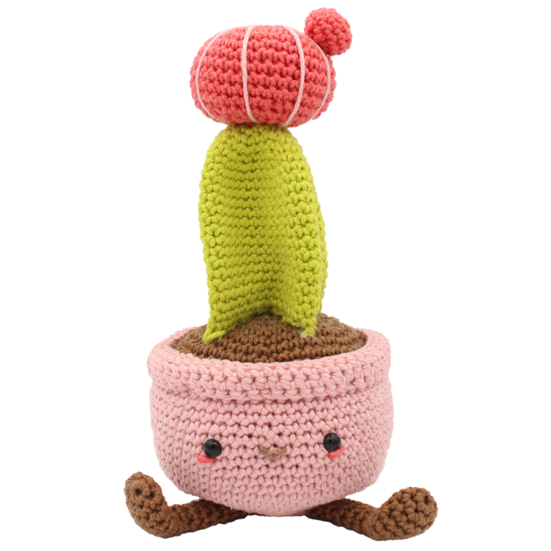 Hardicraft Haakpakket Maancactus