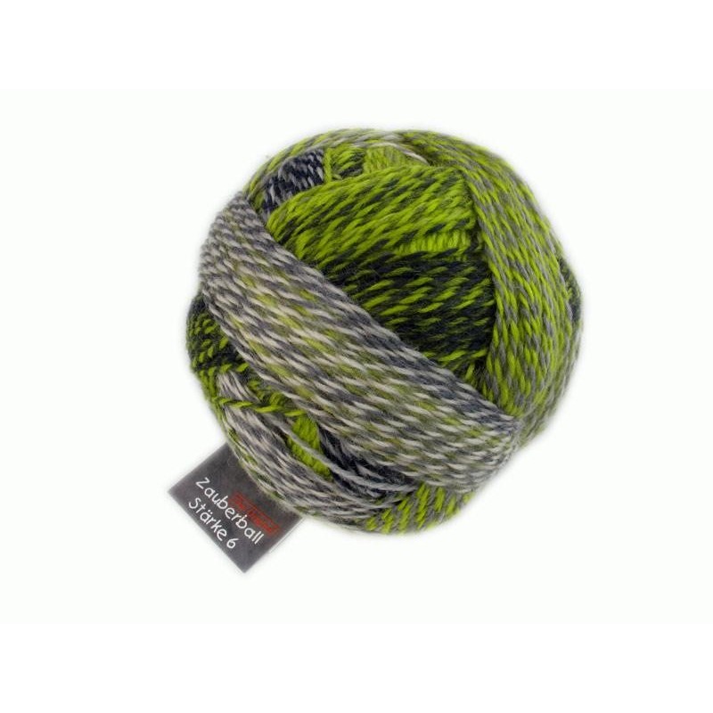 Schoppel Wolle Zauberball Stärke 6 2204 Grune Woche