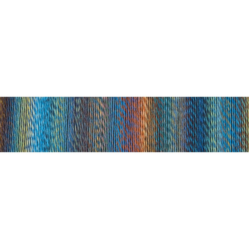 Schoppel Wolle Zauberball Crazy 2623 Frühaufsteher verloop