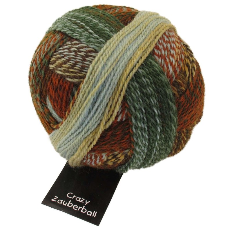 Schoppel Wolle Zauberball Crazy 1660 Flussbet