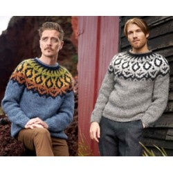 Compleet breipakket - Trui - Alafosslopi - Lopidesign - Joker