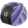 Lana Grossa Cosy Socks Soft Stripes 101