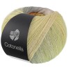 Lana Grossa Cotonella 020