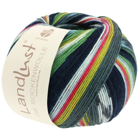 Lana Grossa Landlust die Sockenwolle 703