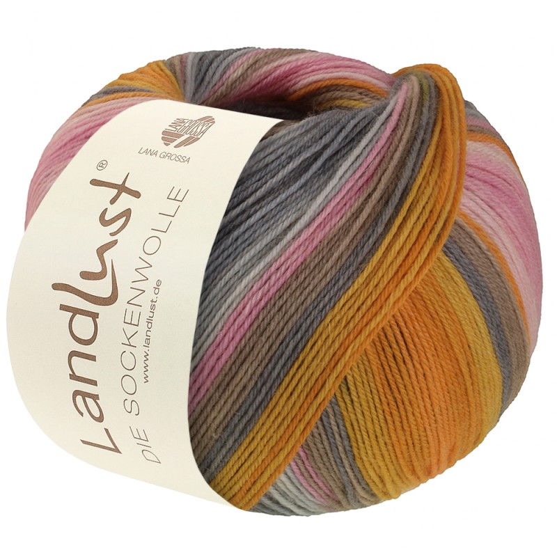 Lana Grossa Landlust die Sockenwolle 132