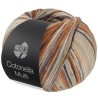 Lana Grossa Cotonella Multi 114