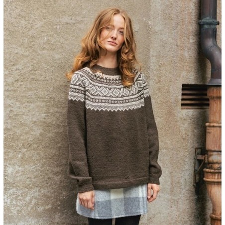 Patroon Sandnes Garn Marius 2510-03 variant met 2 kleuren