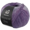 Lana Grossa Meilenweit 100 Woolycell Duo 004