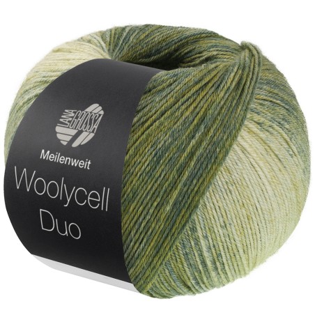 Lana Grossa Meilenweit 100 Woolycell Duo 008