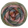 Lana Grossa Gomitolo California 3041