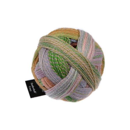 Schoppel Wolle Zauberball Crazy 2730 Nautilus