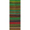Lana Grossa Colorissimo 221