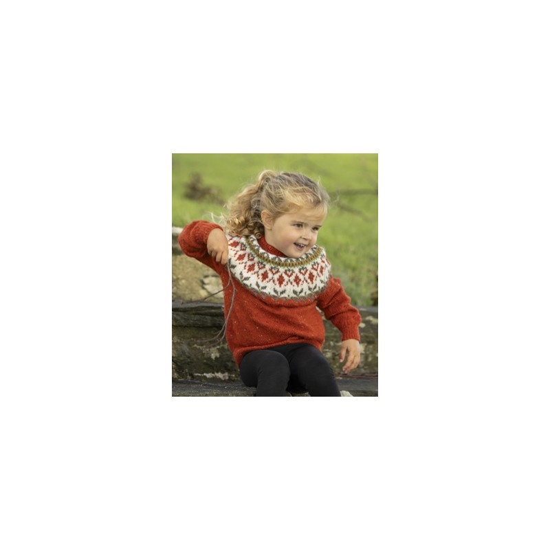 Digitaal patroon Viking of Norway Andes Tweed Seidra sweater 1-5B
