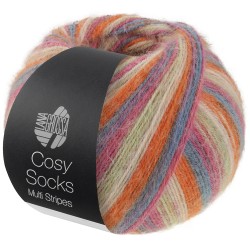Lana Grossa Cosy Socks Multi Stripes 154
