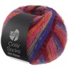 Lana Grossa Cosy Socks Multi Stripes 156