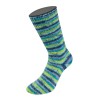 Lana Grossa Cosy Socks Multi Stripes 157