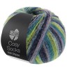 Lana Grossa Cosy Socks Multi Stripes 158