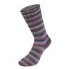 Lana Grossa Cosy Socks Multi Stripes 158