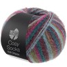 Lana Grossa Cosy Socks Multi Stripes 158