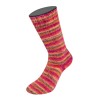 Lana Grossa Cosy Socks Multi Stripes159